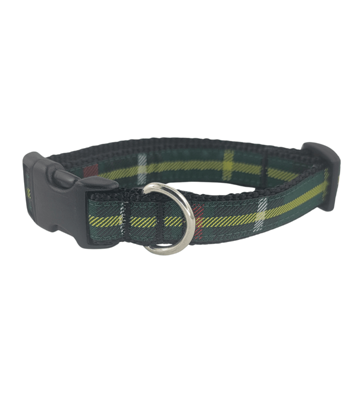 Tartan collar Tartan collar
