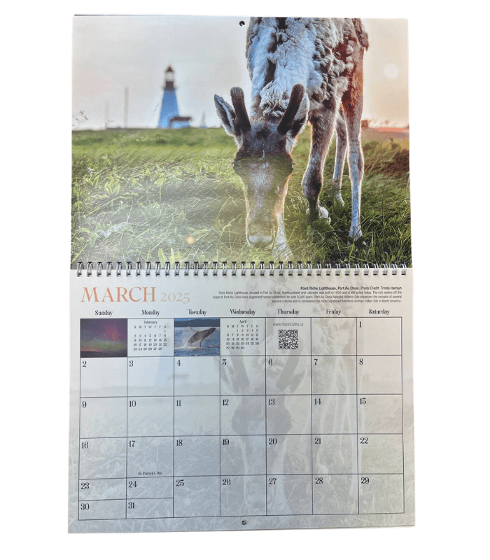 2025 Calendar-Newfoundland - Labrador