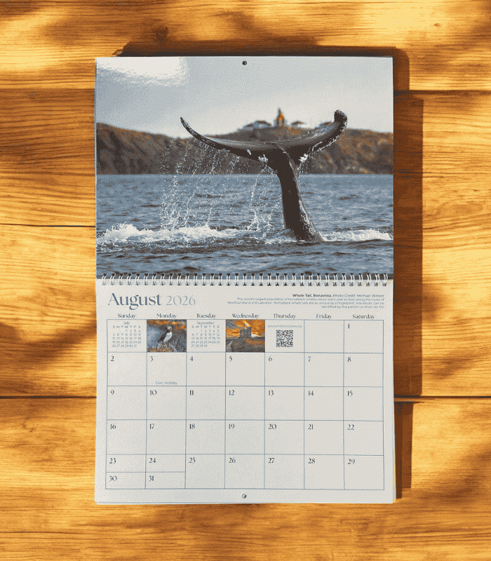 nl wall calendar 2026