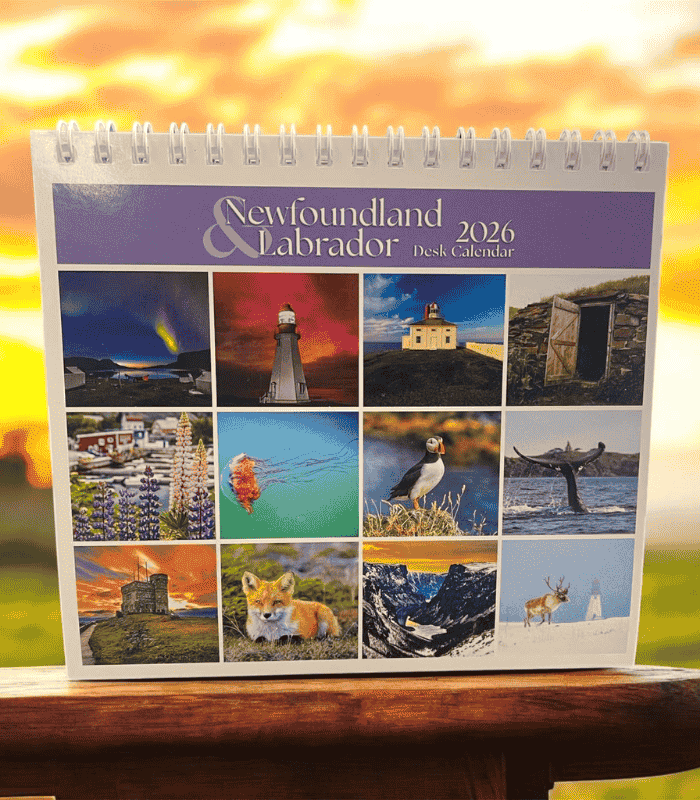 NL 2026 Desk Calendar
