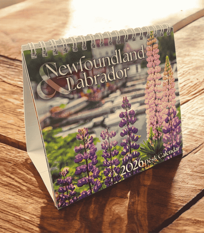 Newfoundland 2026 Desk Calendar