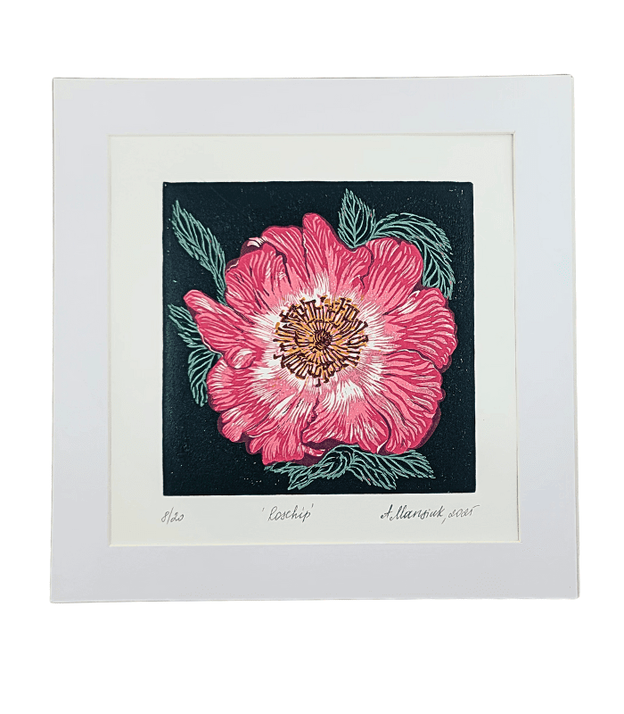 Rosehip Anastaisa Mansuik