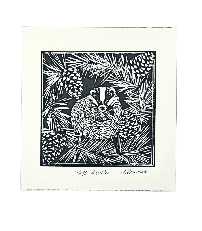 soft needles Anastasiia Mansuik