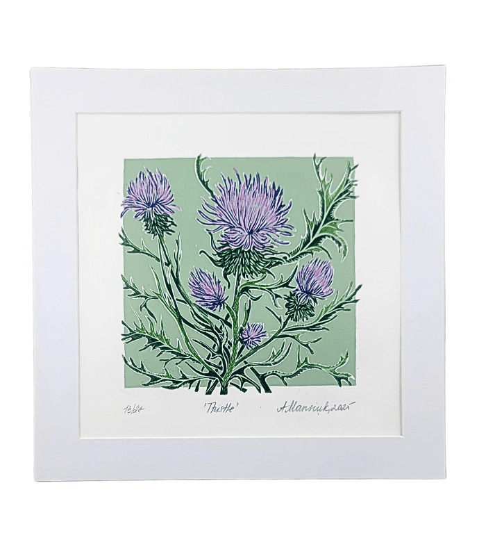 Thistle Anastaisa Mansuik